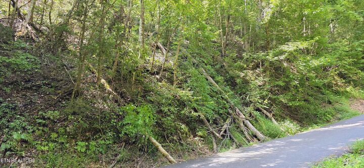 Property Photo:  Lot 0005 Sugar Maple Loop Rd  TN 37862 