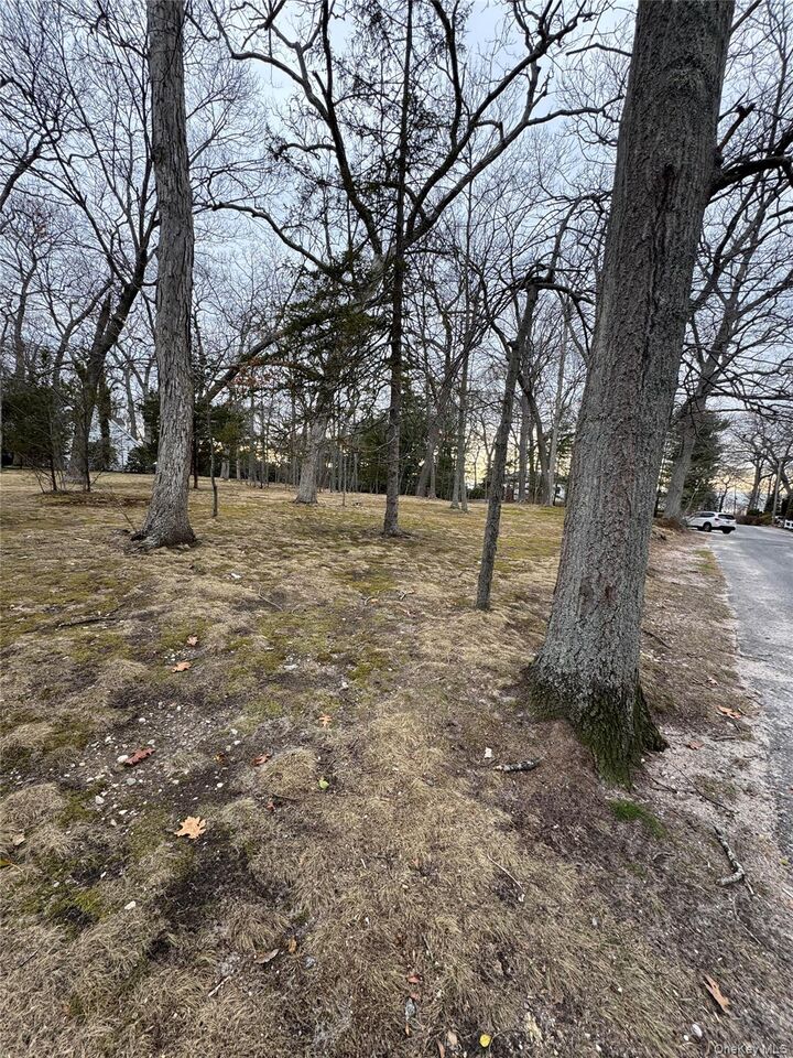 Property Photo:  Dogwood Drive  NY 11790 