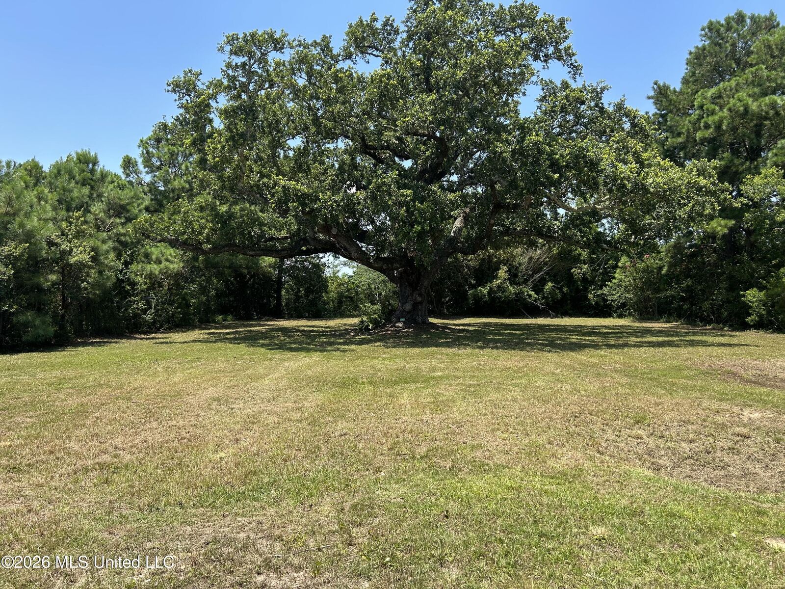 Property Photo:  209 Hillcrest Street  MS 39576 