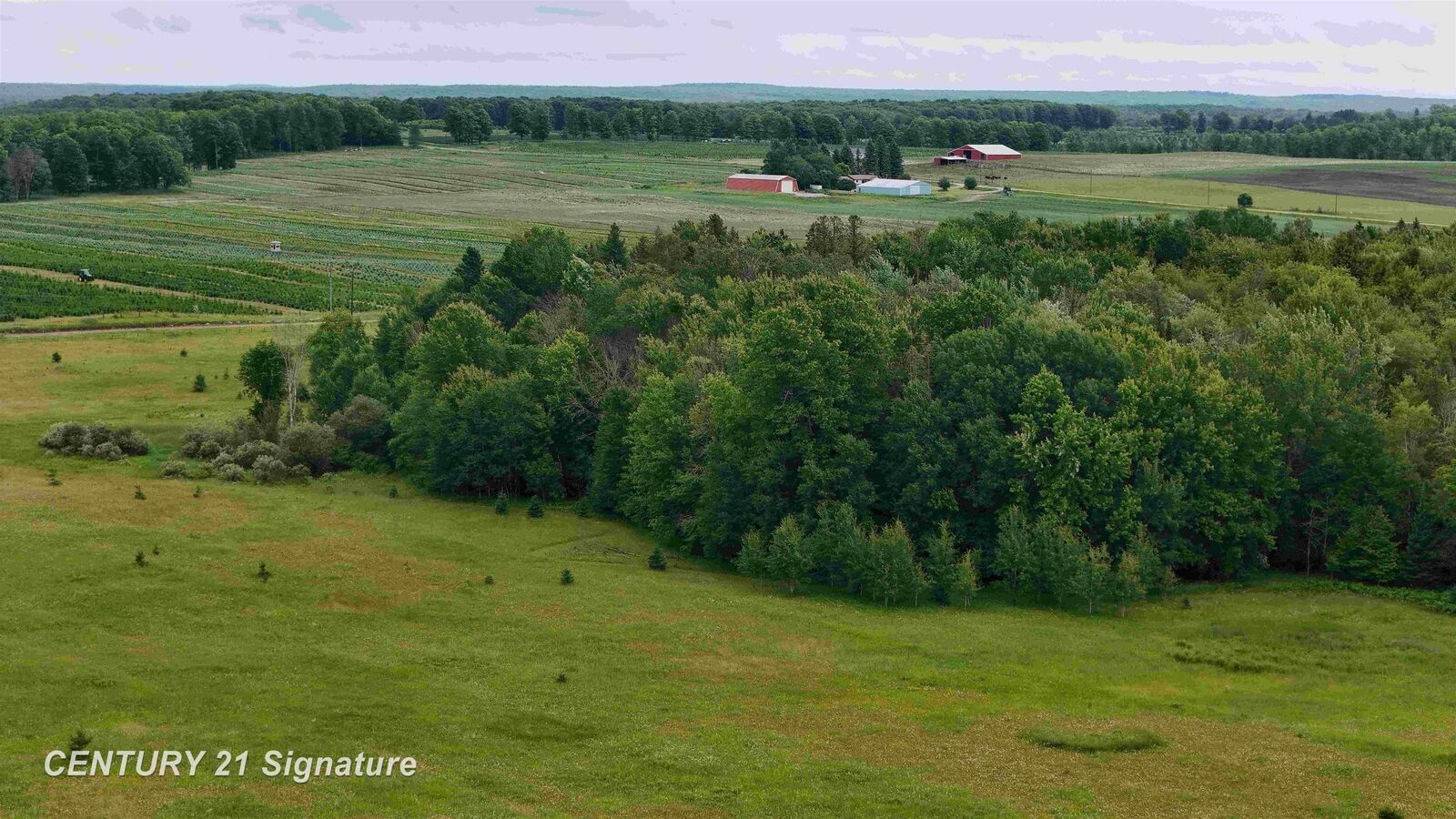 Property Photo: V/L County Road 477 Road MI 49853