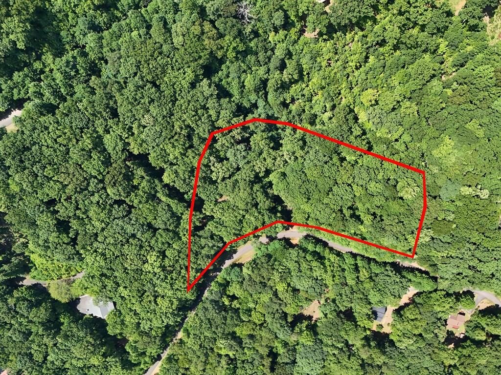 Property Photo: Lot 71 Chicory Drive W GA 30512