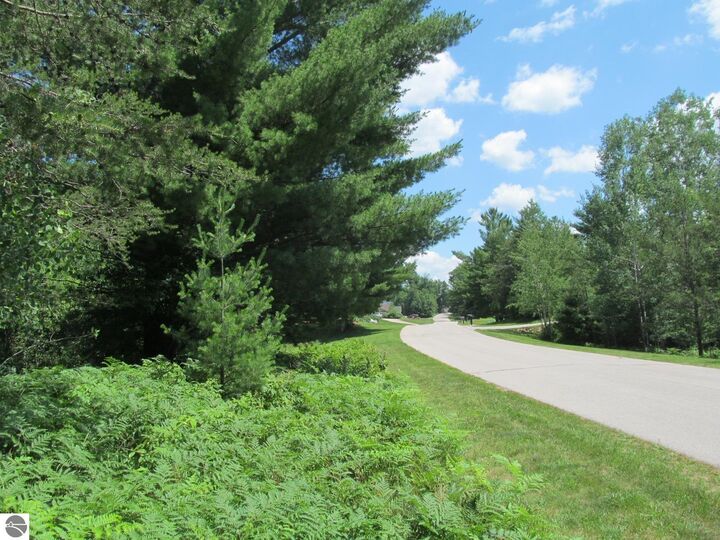 Property Photo: Lot 63 White Pine Drive MI 49601