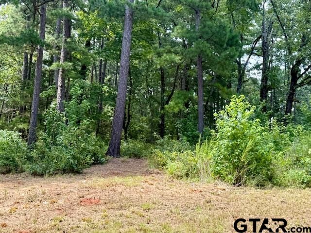 Property Photo:  16203 County Road 436  TX 75771 