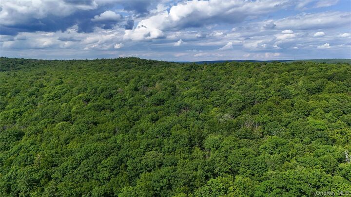 Property Photo:  242 Denton Falls Road  NY 12777 