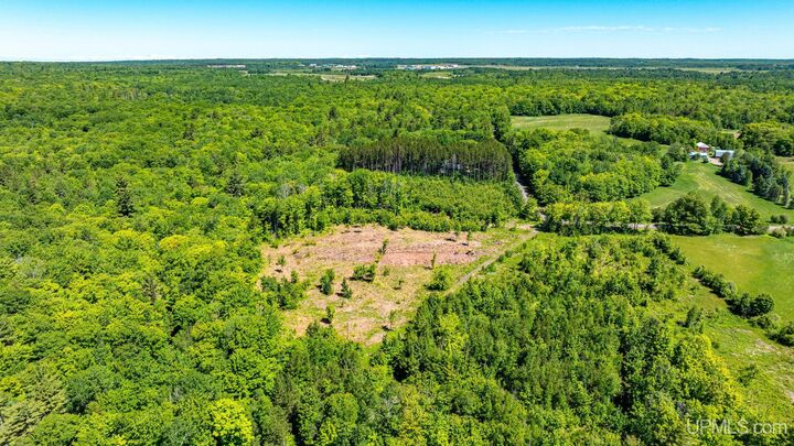 Property Photo:  Tbd 1 Forsman Road  MI 49930 