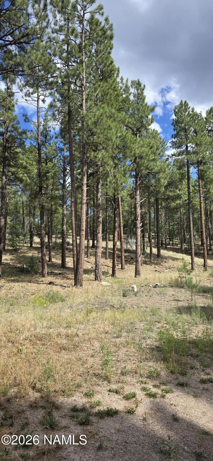Property Photo:  00 No Name  AZ 86046 