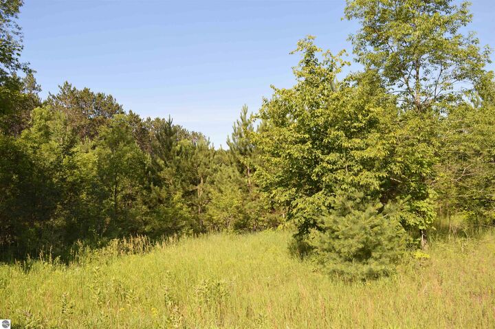Property Photo: NE Holly Road MI 49646