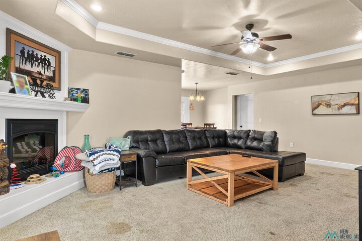 Property Photo:  213 Starlite Drive  NM 88101 