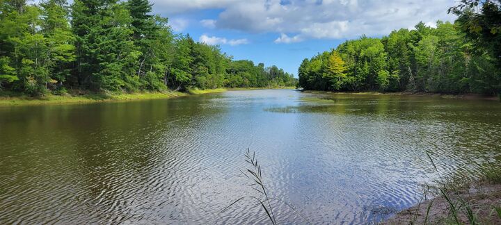 Property Photo:  Vi Kolbec Road  NS B0M 1P0 