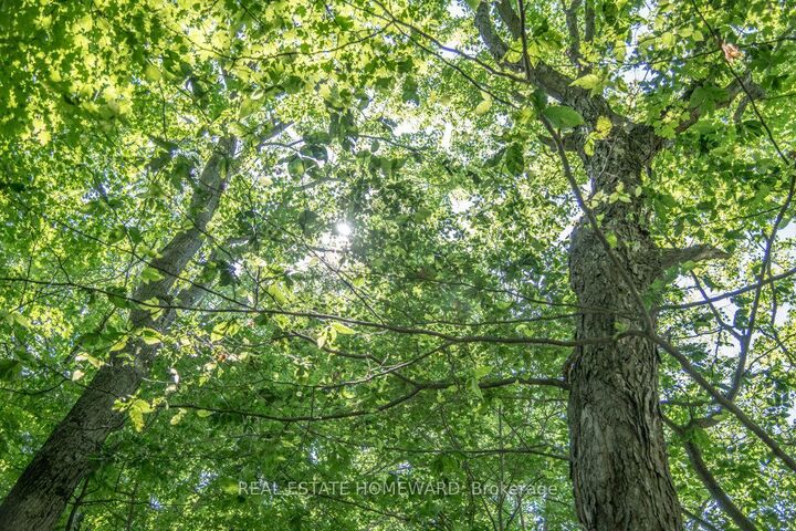 Pt 1 Boyce Road — photo 1