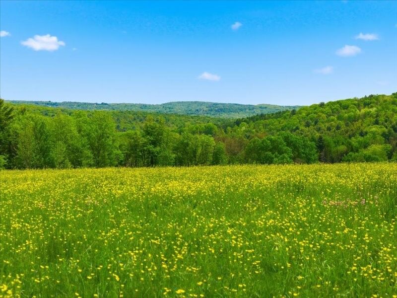 Property Photo:  143 Swift Road 1  NY 13905 