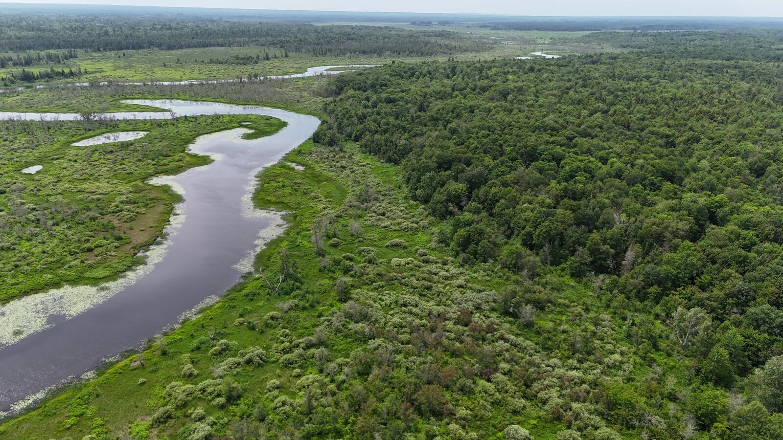 Property Photo:  000 Co Rd 510  MI 49868 