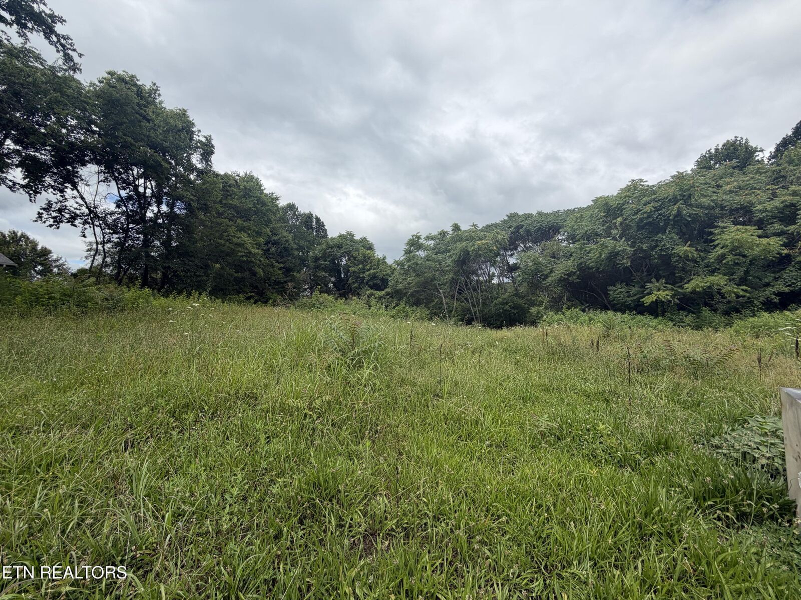 Property Photo: 143 Moser Lane TN 37716