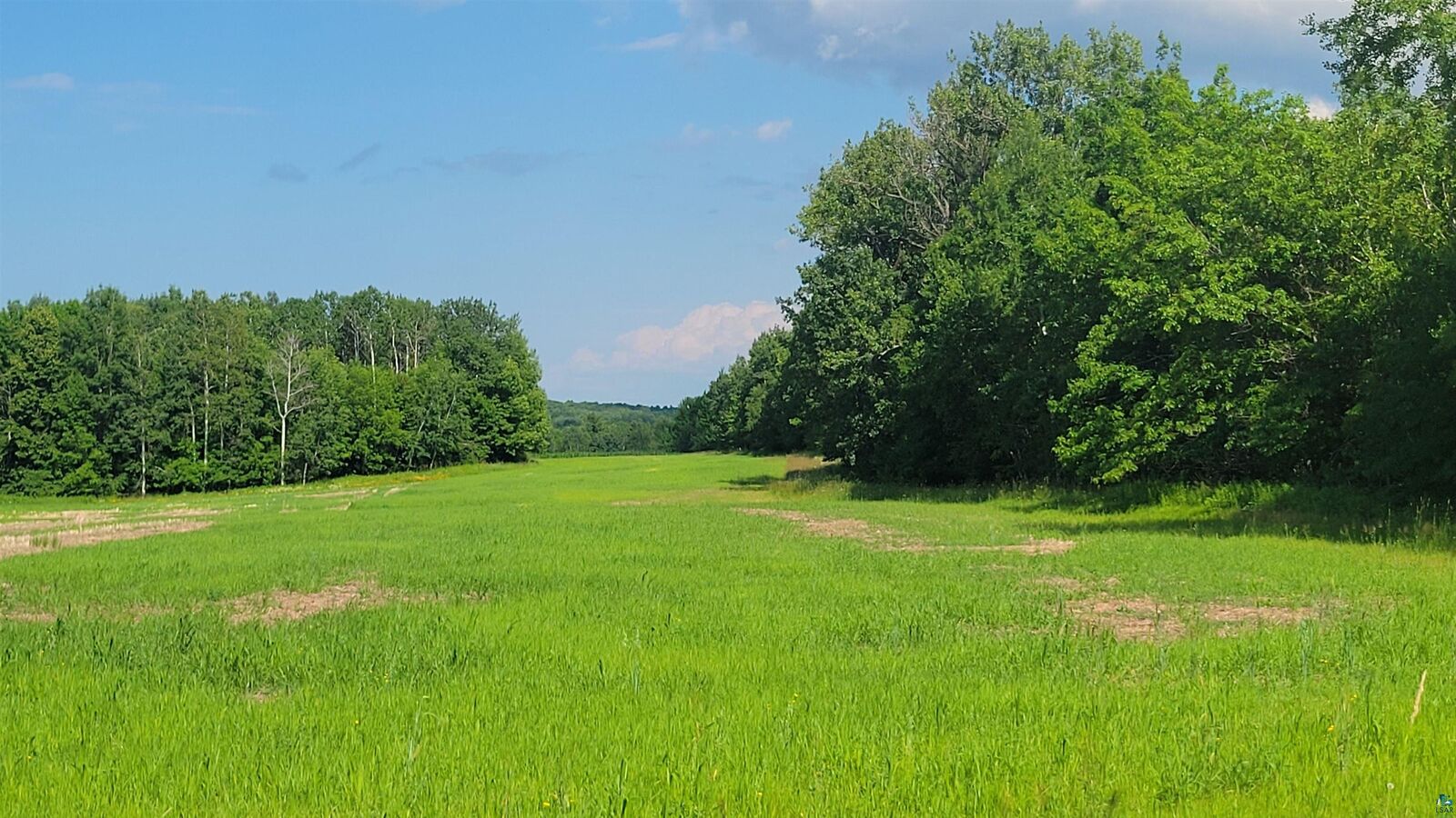 Property Photo:  806xx County Hwy E  WI 54856 