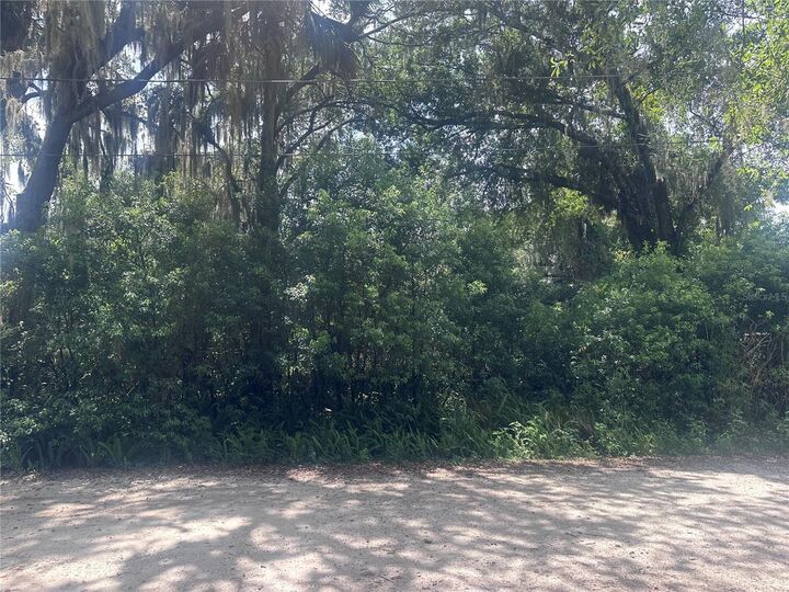 Property Photo: 1622 Palm Street FL 32720