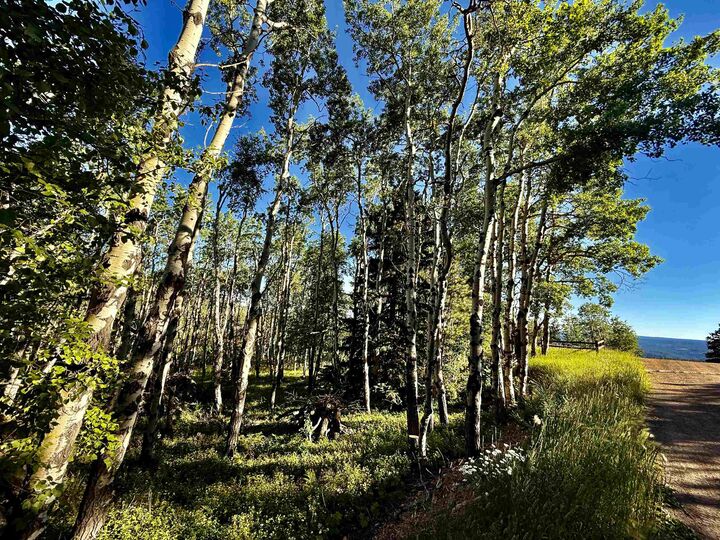 Property Photo: Lot 2 Blk1 Tr C Last Chance Trail SD 57754