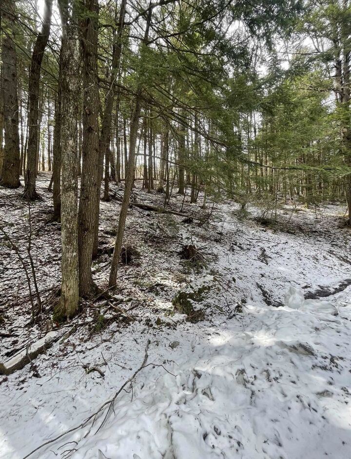 Property Photo: 000 Hinkley Brook Road VT 05146