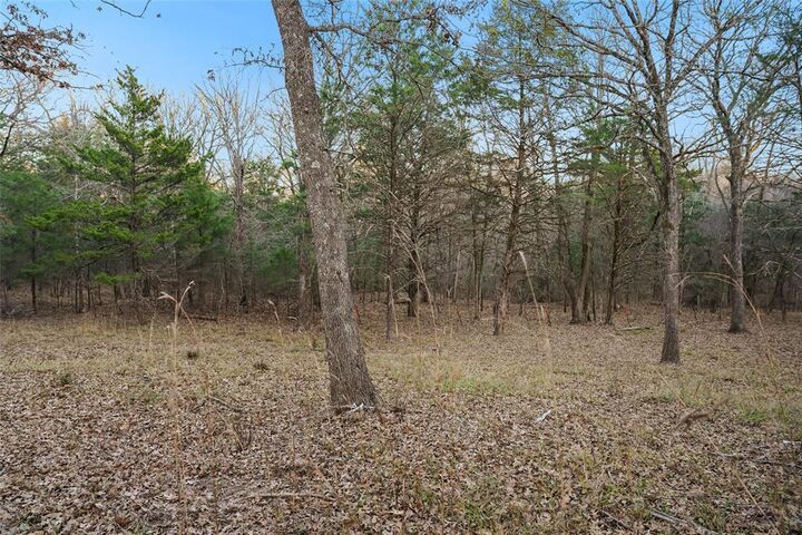 Property Photo: 344 Rs County Road 4254 TX 75472