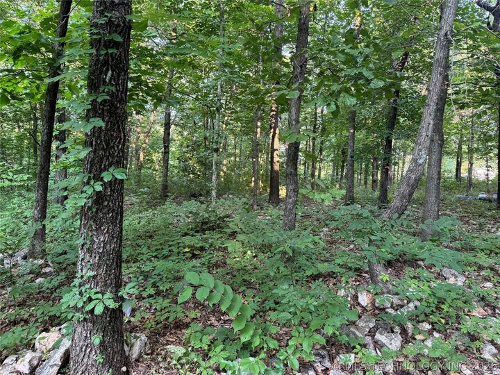 Property Photo:  2736 Kenwood Road  OK 74365 