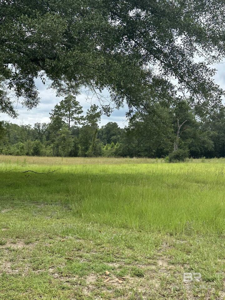 Property Photo:  52671 Martin Hadley Lane  AL 36562 