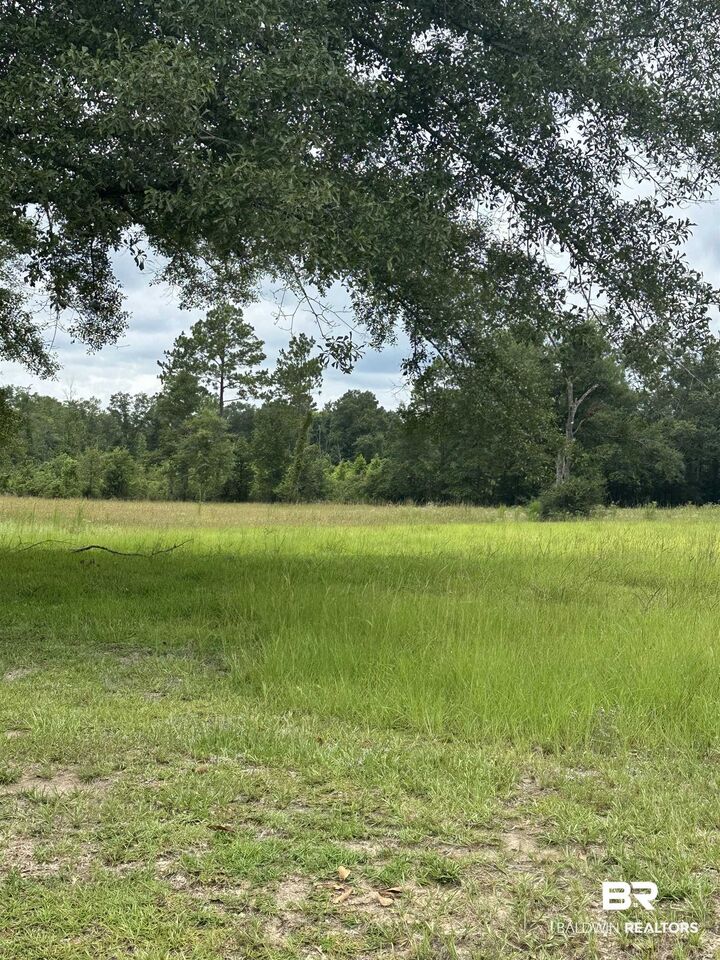 Property Photo:  52671 Martin Hadley Lane  AL 36562 
