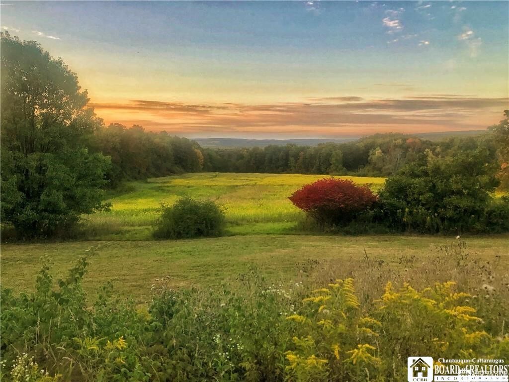 Property Photo:  1004 Wigren Road  NY 14738 