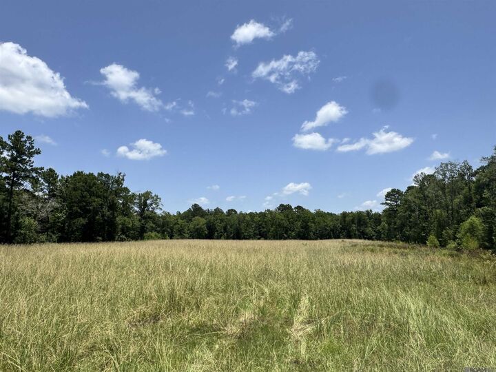 Property Photo:  27554 S Frost Rd  LA 70754 