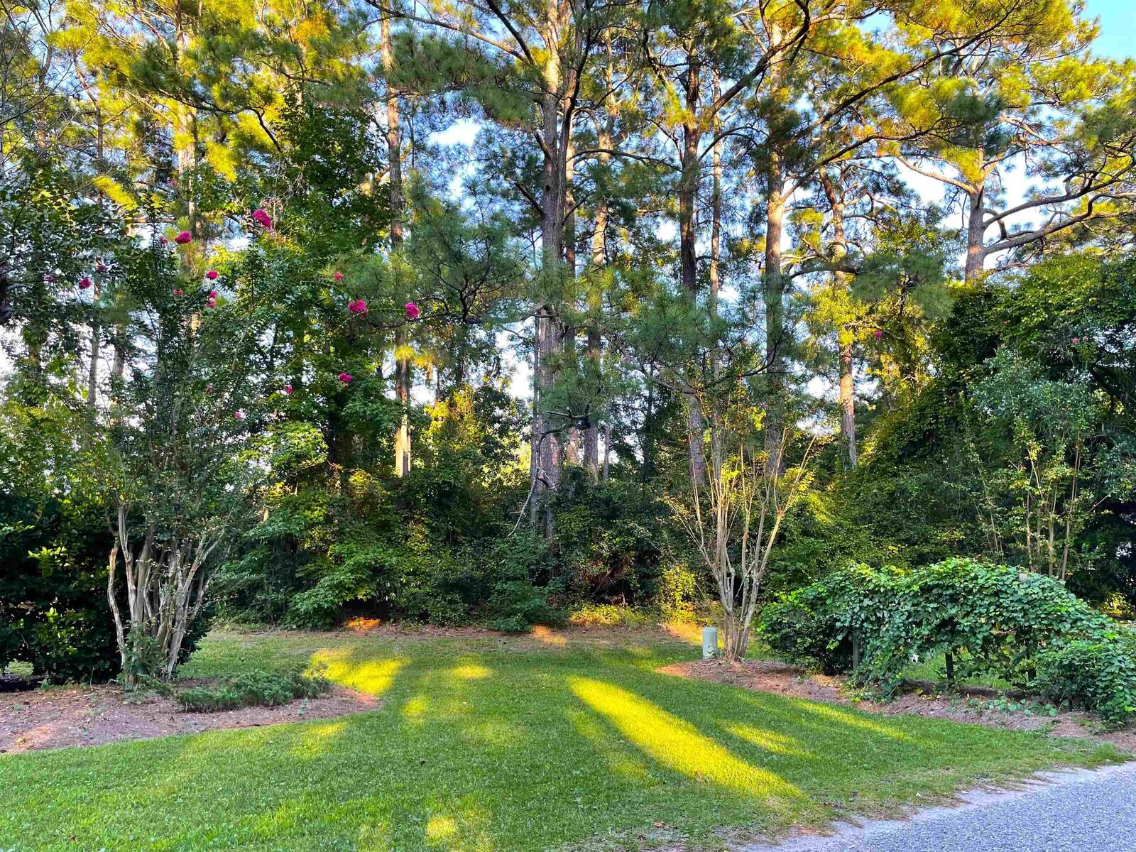 Property Photo: 4195 Golf Ave. SC 29566