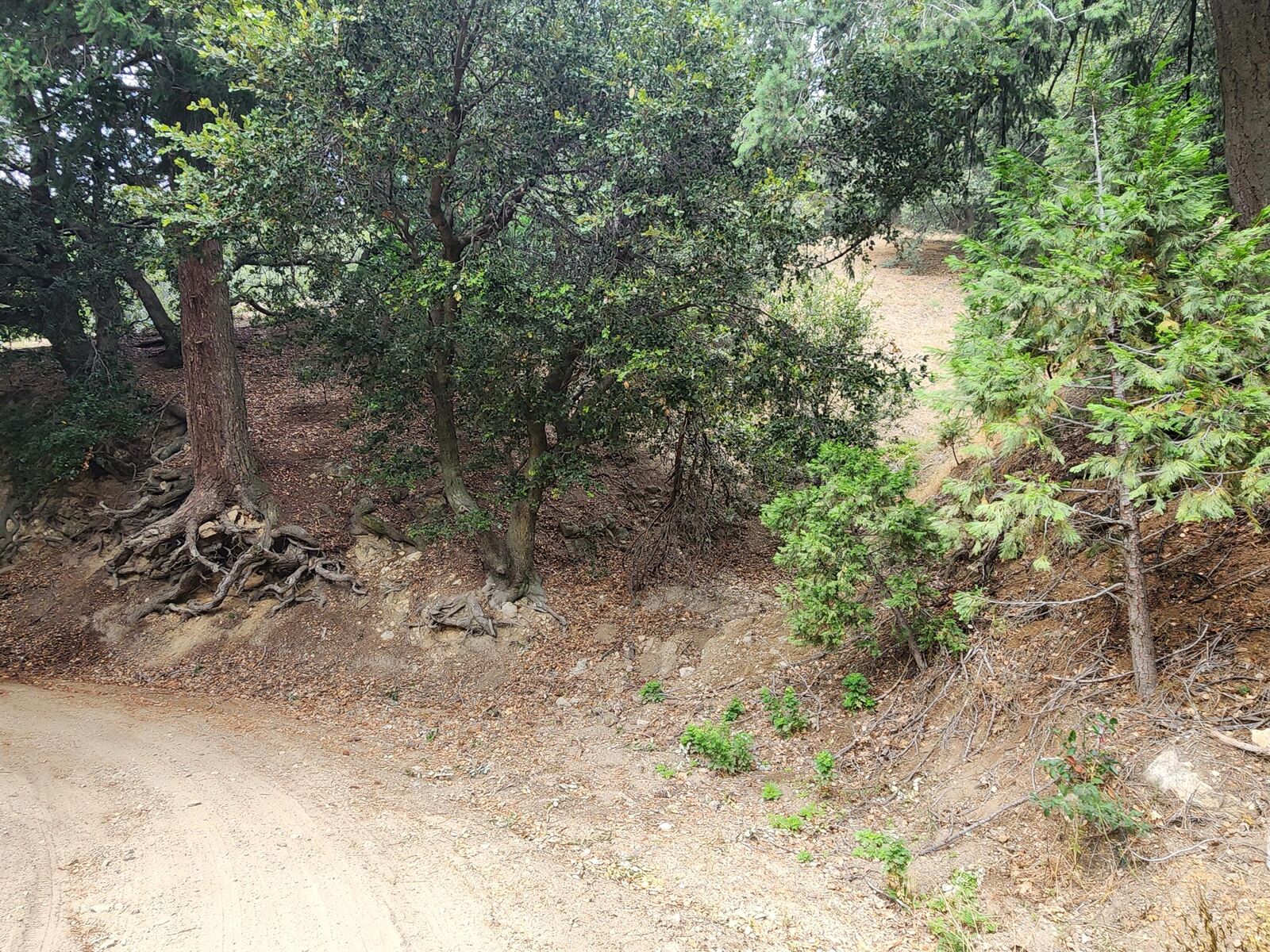 Property Photo: 0 Fern Canyon Road CA 92325