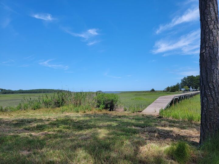Property Photo:  Lot 26 Seaview St  VA 23301 