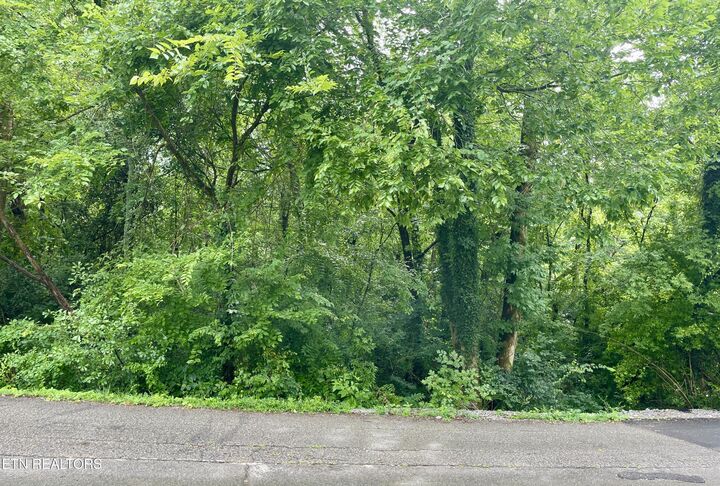 Property Photo:  5119 Odell Rd  TN 37920 
