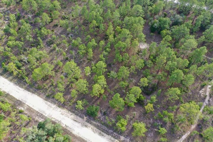 Property Photo: 0000 NE 132 Terrace Lot 2 Terrace FL 32696