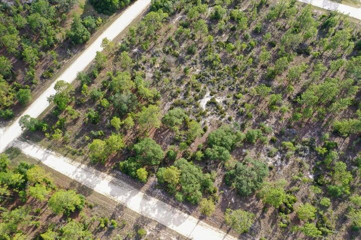 Property Photo: 0000 NE 132 Terrace Lot 5 Terrace FL 32696