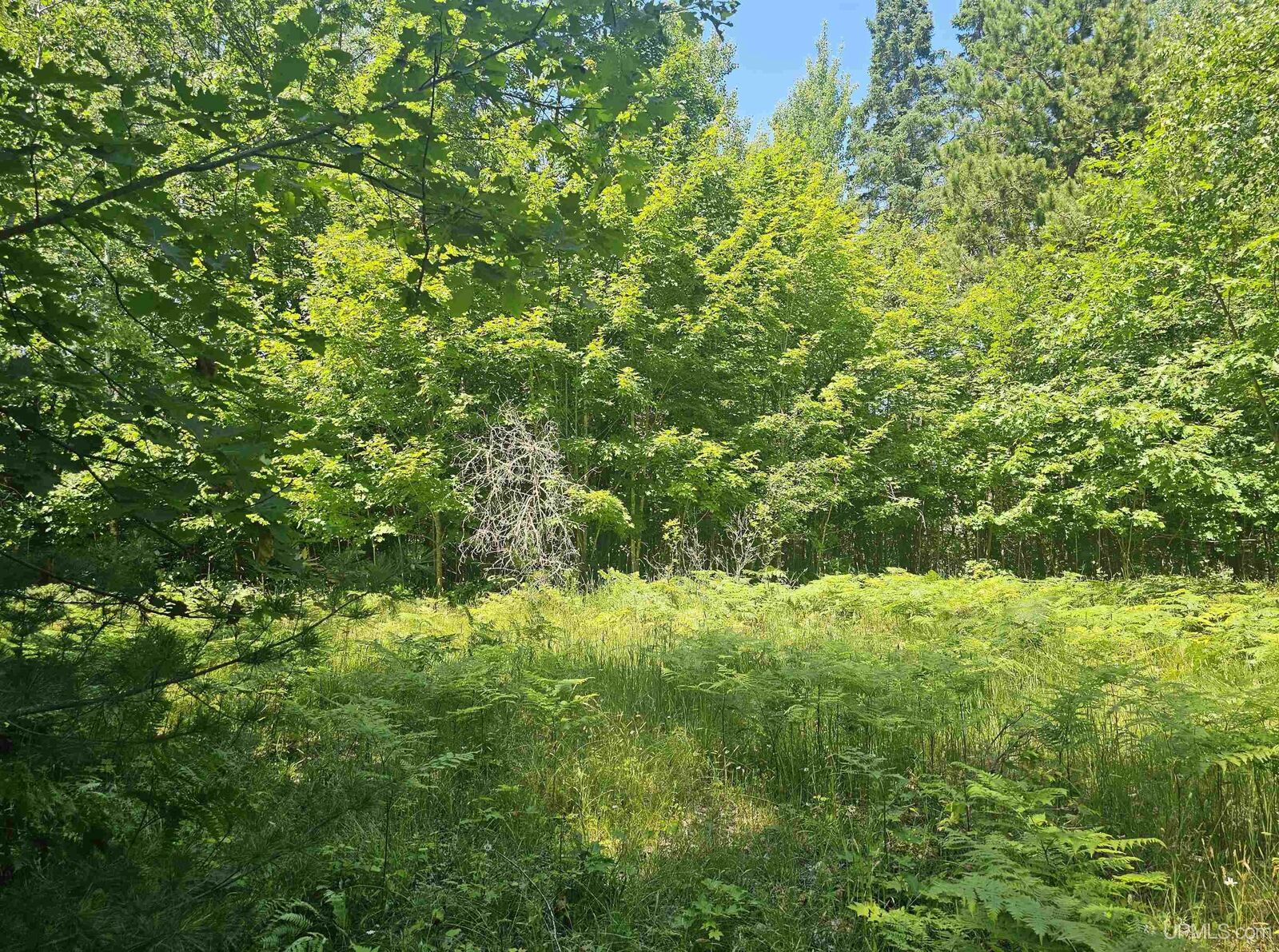 Property Photo:  Tbd Parcel M12 Applewood Drive  MI 49931 