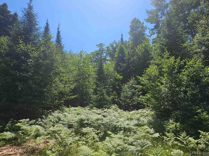 Property Photo:  Tbd Parcel M22 River Trails Road  MI 49931 