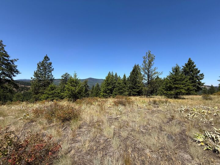 Property Photo:  135 Slippery Hill Ln  WA 99166 