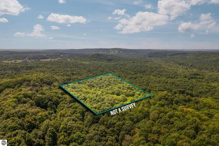 Property Photo: Brier Patch Lane MI 49659