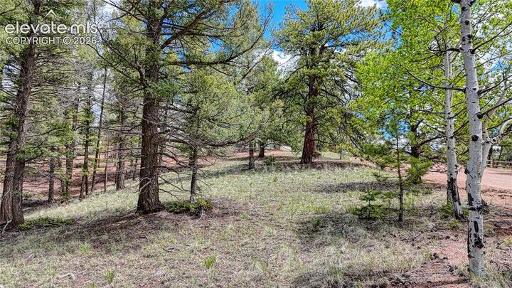 Property Photo: 26 N Eldorado Circle CO 80816