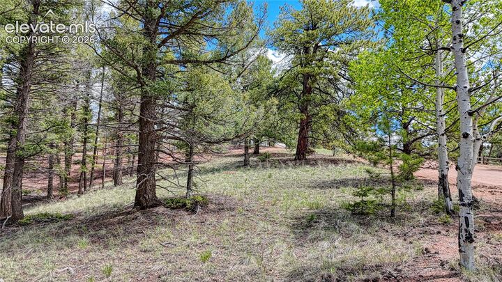 Property Photo:  26 N Eldorado Circle  CO 80816 