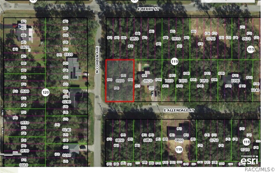 Property Photo:  3817 E Allendale Street  FL 34453 