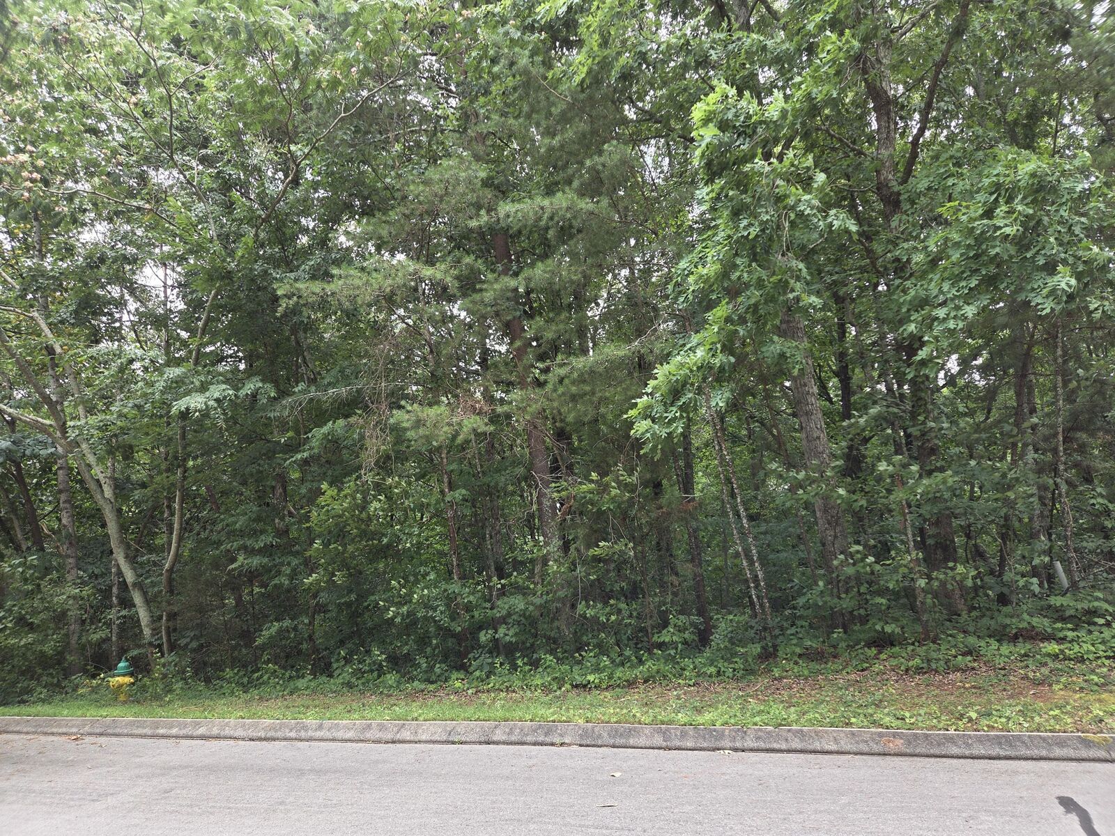 Property Photo: 0 Callen Cove TN 37303
