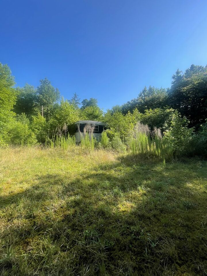 Property Photo:  Green Hill Rd  VA 23824 