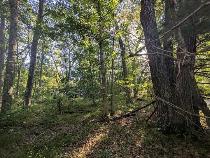 Property Photo: 0 6th Avenue WI 53936