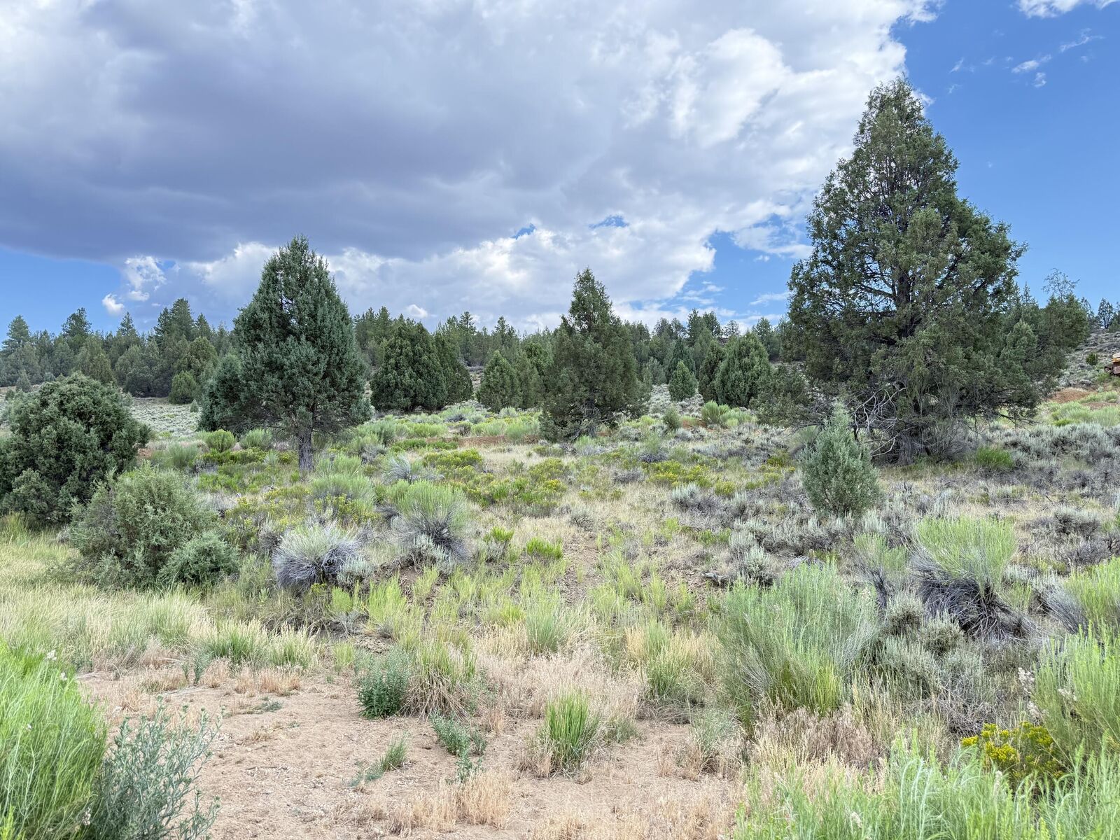 Property Photo: Chippewa Dr UT 84762