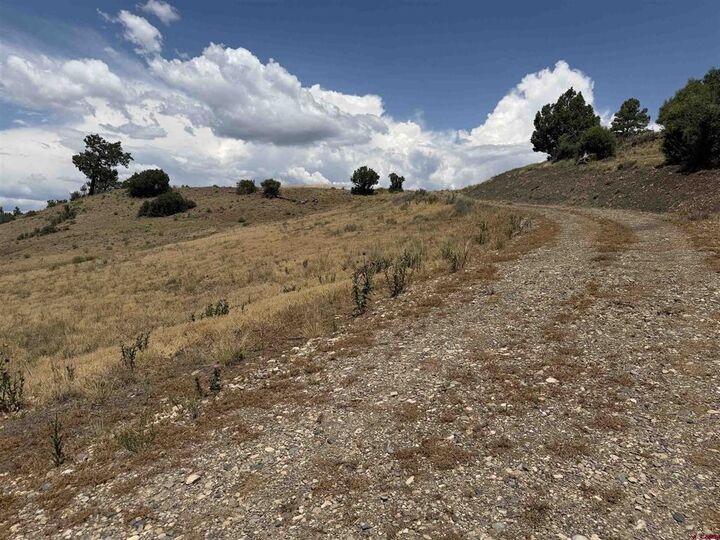 Property Photo: 893 Loma Linda Drive CO 81147