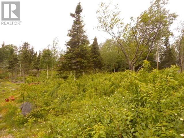 Property Photo:  00 Salt Pond Road  NL A0J 1T0 