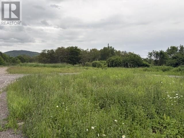 Property Photo:  0 Wheeler's Road  NL A2N 1S0 