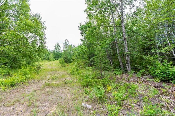 Property Photo:  Lot 14-2 Niagara Road  NB E1J 1H8 