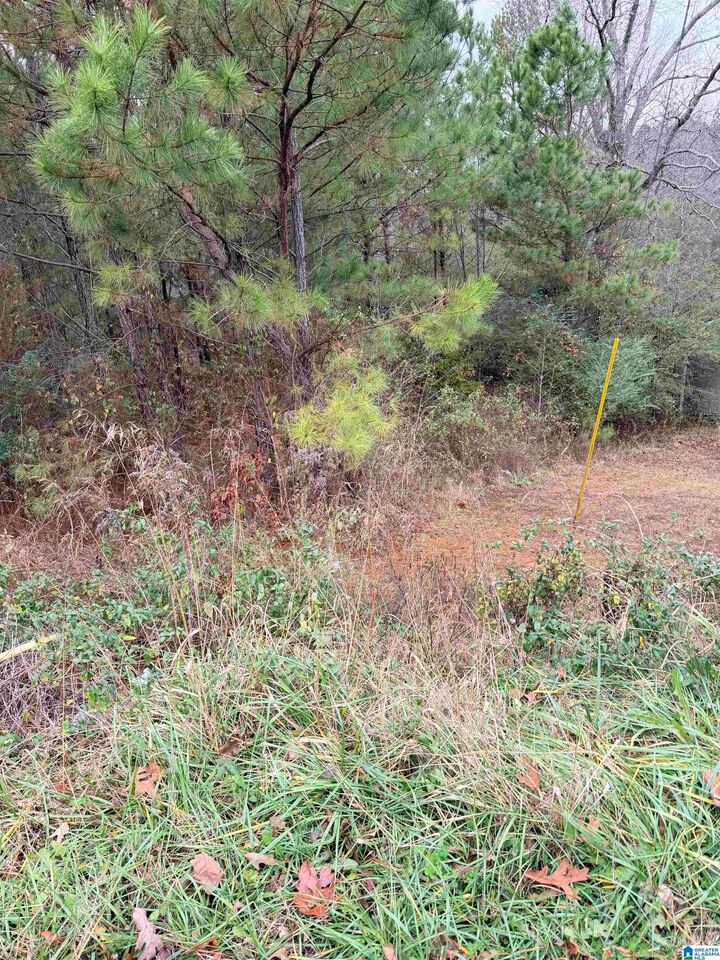 Property Photo:  0 Armstrong Loop 0  AL 35079 