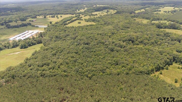 Property Photo: Tbd 38.110 Ac Cr 3206 TX 75681